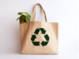 Eco-Friendly Bags