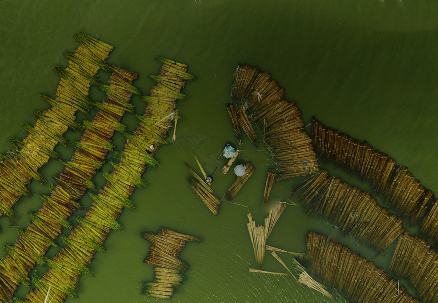 PlanetCareBD Gallery 2